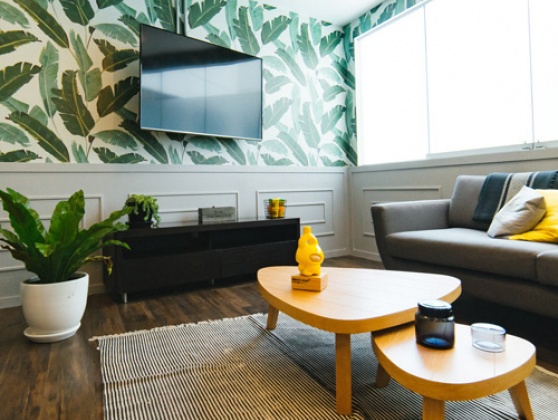 Servicio o Producto 4